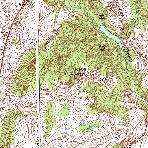 Topographic Map of Rice Mountain, NY