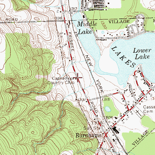 Topographic Map of Cassadaga Country Club, NY