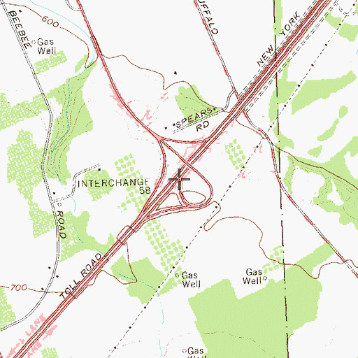 Topographic Map of Interchange 58, NY