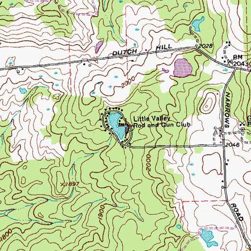 Topographic Map of Little Valley Rod and Gun Club, NY