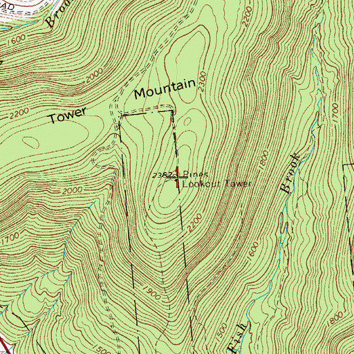 Topographic Map of Pines Lookout Tower, NY