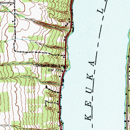 Topographic Map of School Number 1 (historical), NY