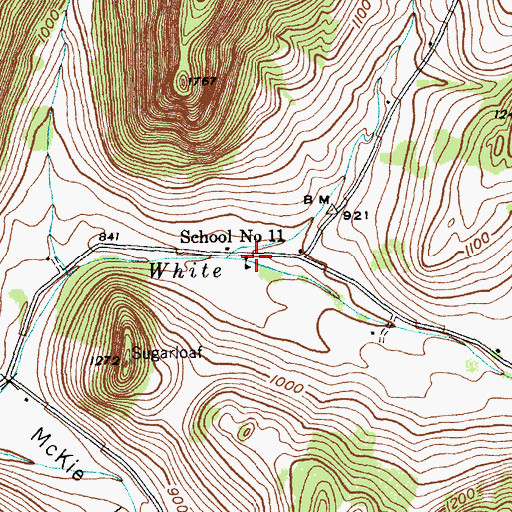 Topographic Map of School Number 11 (historical), NY
