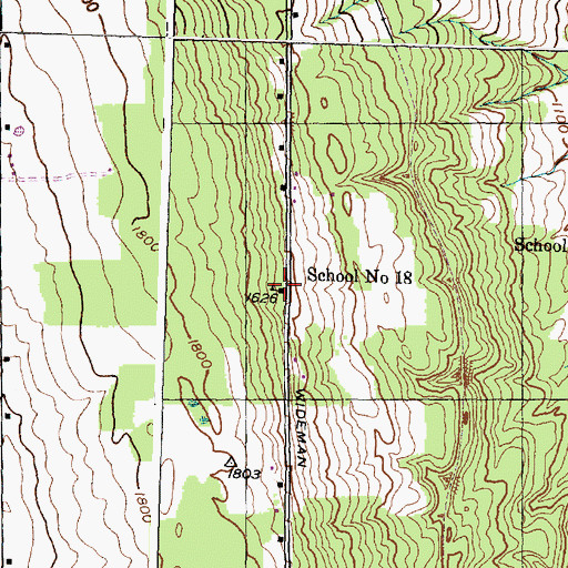 Topographic Map of School Number 18 (historical), NY