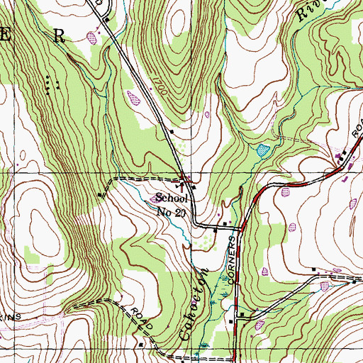 Topographic Map of School Number 20 (historical), NY