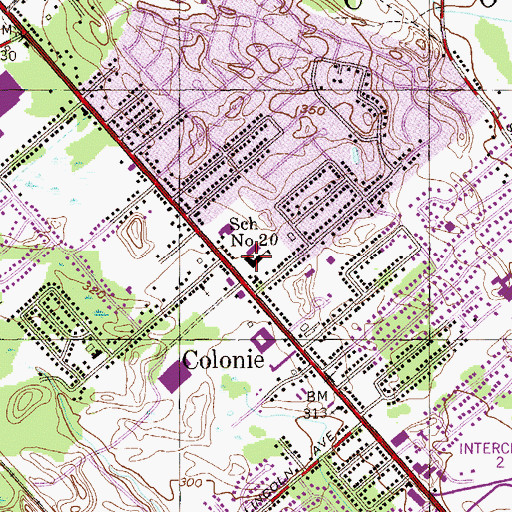 Topographic Map of School Number 20, NY