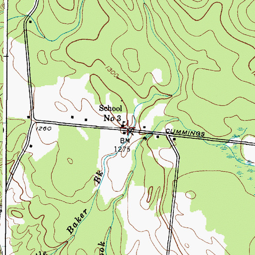 Topographic Map of School Number 3 (historical), NY