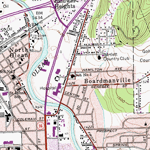 Topographic Map of Boardmanville Elementary School, NY