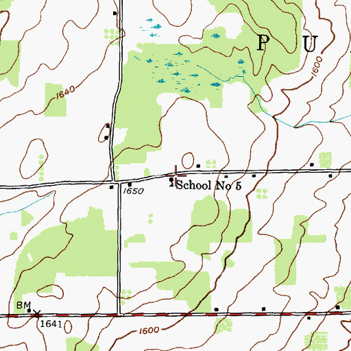 Topographic Map of School Number 5 (historical), NY