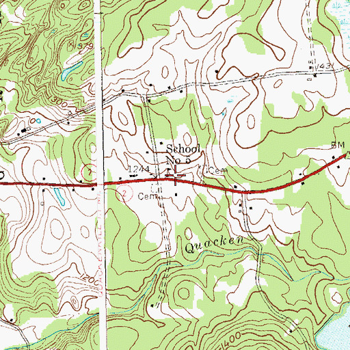 Topographic Map of School Number 5, NY