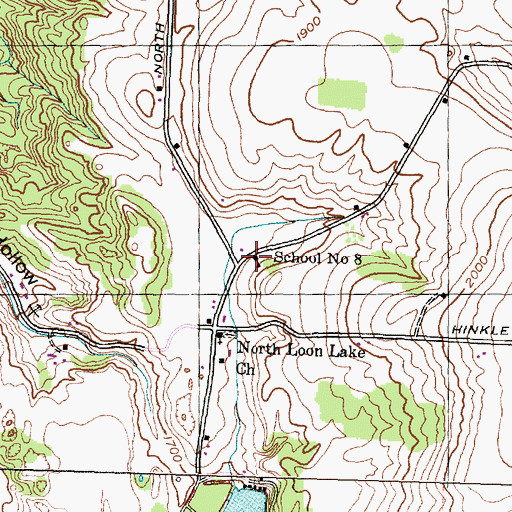 Topographic Map of School Number 8 (historical), NY