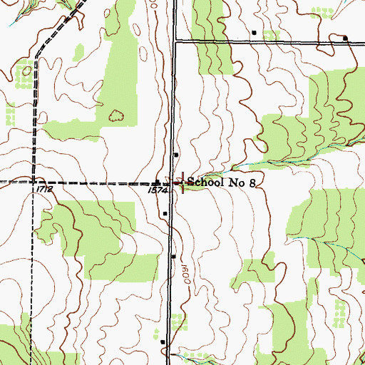Topographic Map of School Number 8 (historical), NY