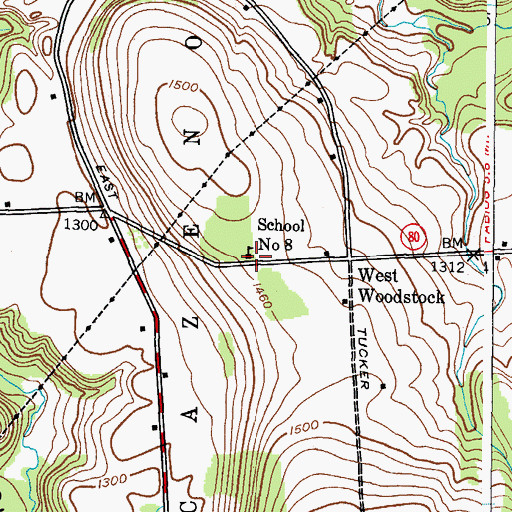 Topographic Map of School Number 8 (historical), NY