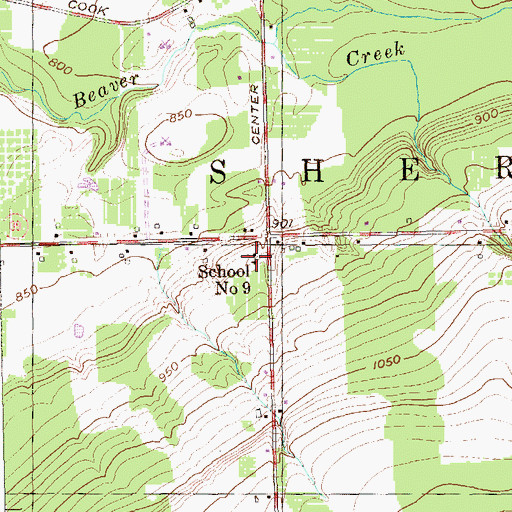 Topographic Map of School Number 9 (historical), NY