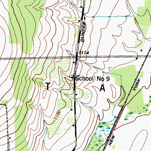 Topographic Map of School Number 9 (historical), NY