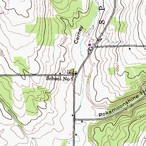 Topographic Map of School Number 9 (historical), NY