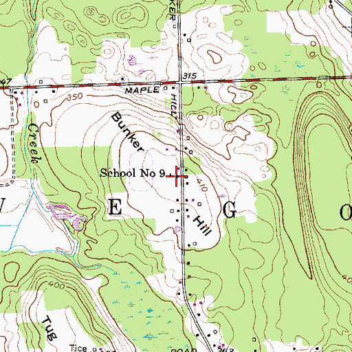 Topographic Map of School Number 9 (historical), NY