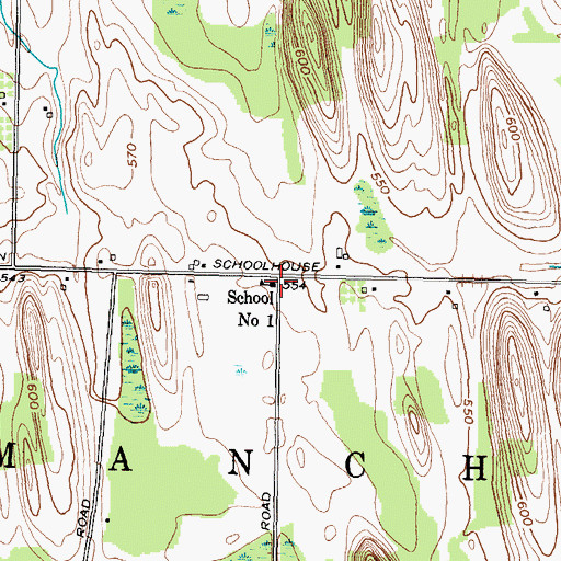 Topographic Map of School Number 1 (historical), NY