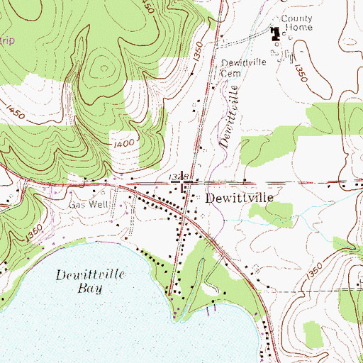 Topographic Map of Dewittville, NY