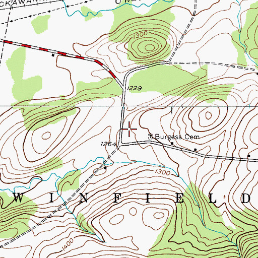 Topographic Map of TGP-245 Heliport, NY