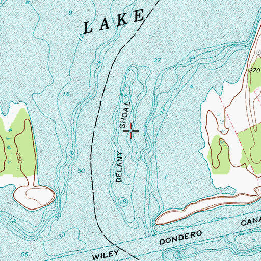 Topographic Map of Delany Shoal, NY
