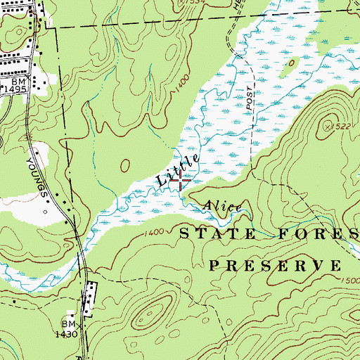 Topographic Map of Alice Brook, NY
