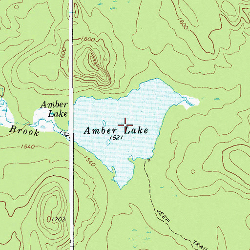 Topographic Map of Amber Lake, NY