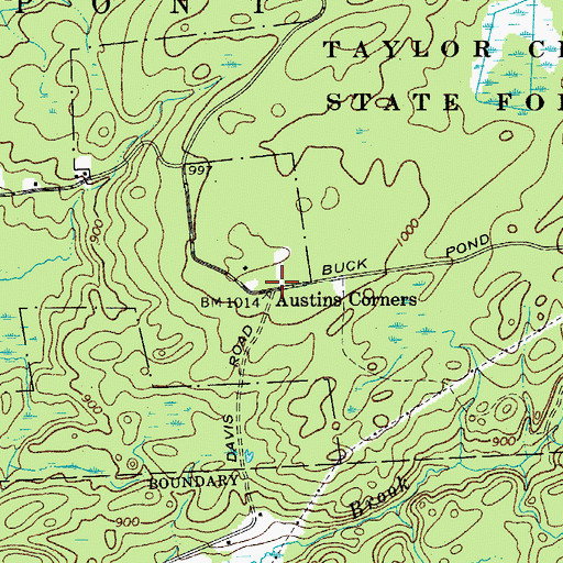Topographic Map of Austins Corners, NY