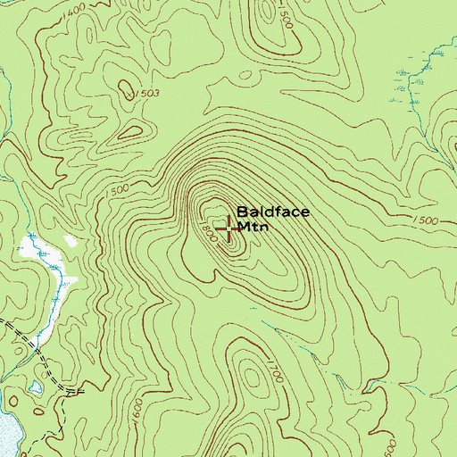 Topographic Map of Baldface Mountain, NY
