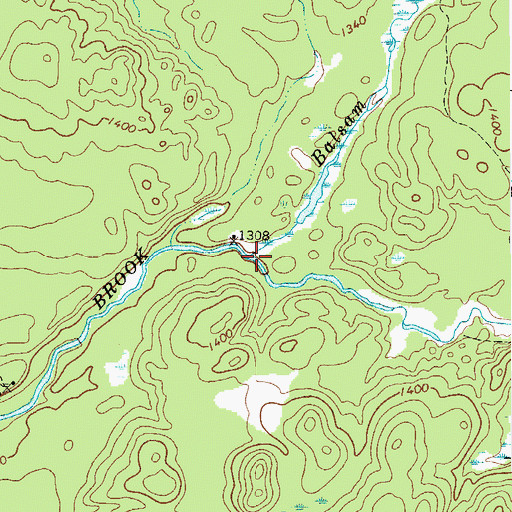 Topographic Map of Balsam Brook, NY