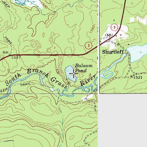 Topographic Map of Balsam Pond, NY