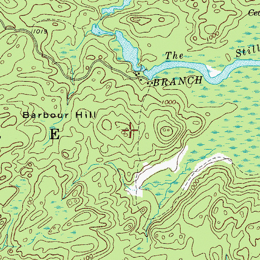 Topographic Map of Barbour Hill, NY