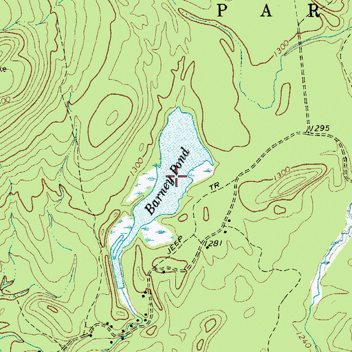 Topographic Map of Barney Pond, NY
