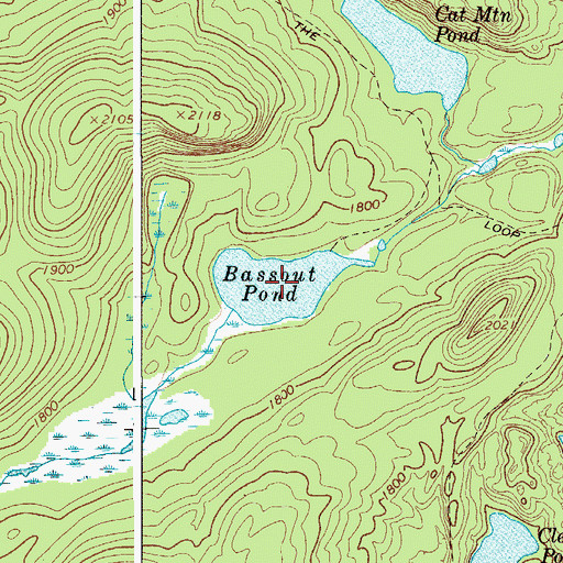Topographic Map of Bassout Pond, NY