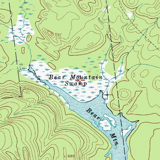 Topographic Map of Bear Mountain Swamp, NY