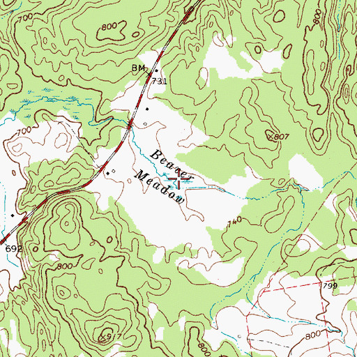 Topographic Map of Beaver Meadow, NY