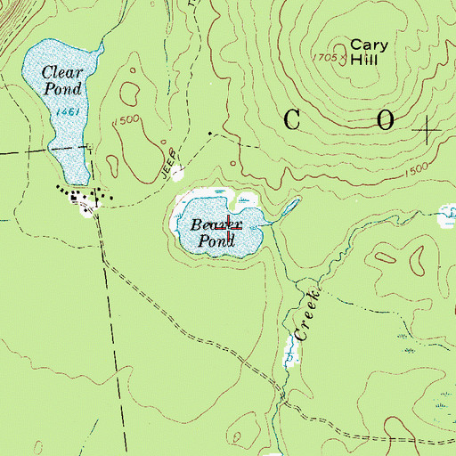 Topographic Map of Beaver Pond, NY