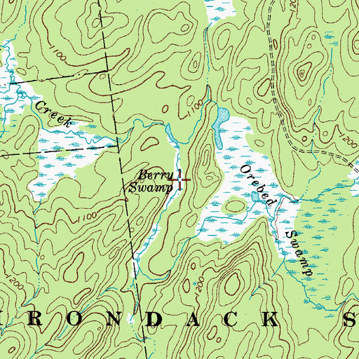 Topographic Map of Berry Swamp, NY