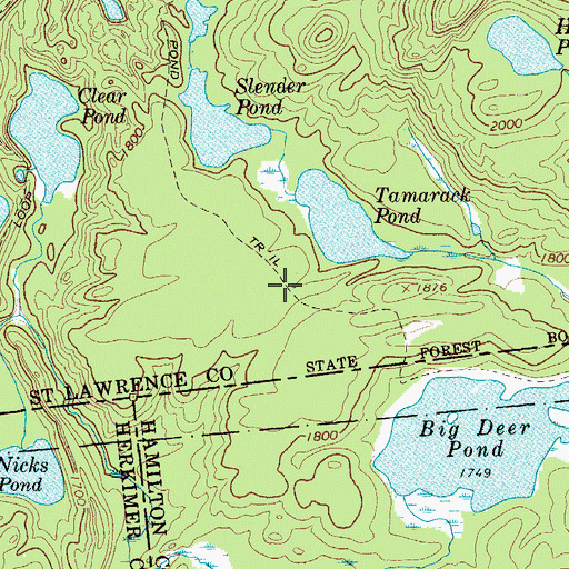 Topographic Map of Big Deer Pond Trail, NY