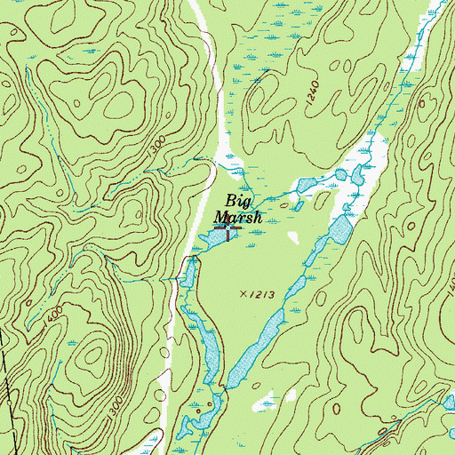 Topographic Map of Big Marsh, NY