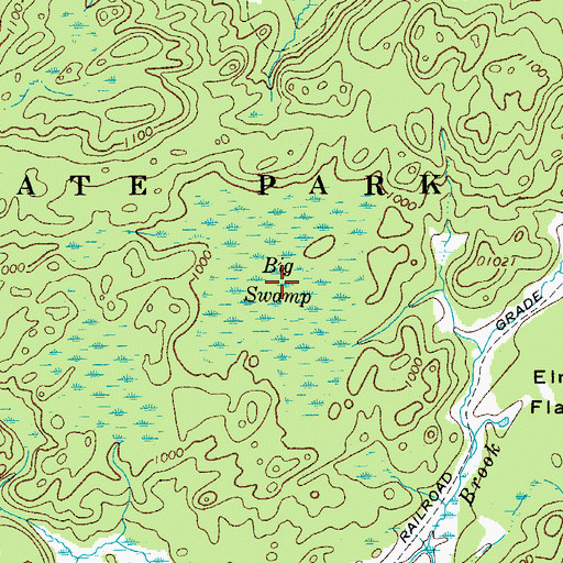 Topographic Map of Big Swamp, NY