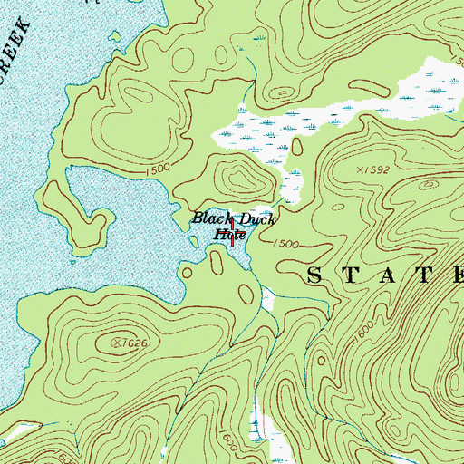 Topographic Map of Black Duck Hole, NY