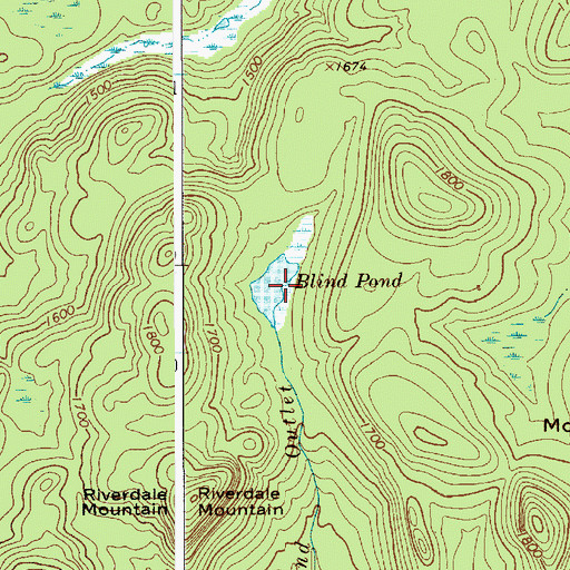 Topographic Map of Blind Pond, NY