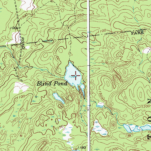 Topographic Map of Blind Pond, NY