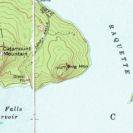 Topographic Map of Bog Mountain, NY