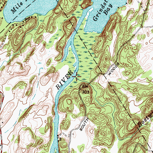 Topographic Map of Bostwick Creek, NY