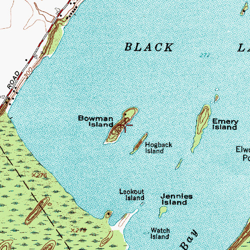 Topographic Map of Bowman Island, NY