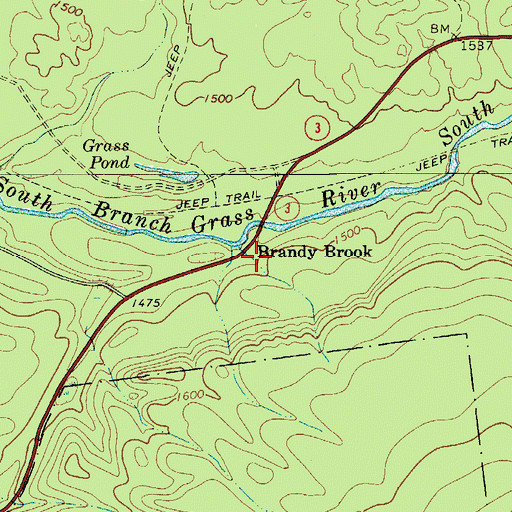 Topographic Map of Brandy Brook, NY