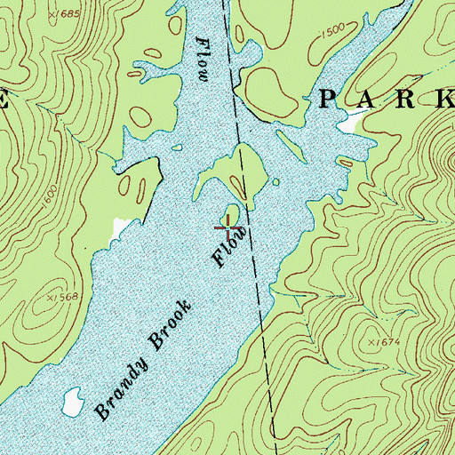 Topographic Map of Brandy Brook Flow, NY