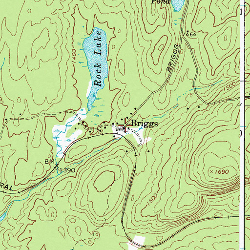 Topographic Map of Briggs, NY